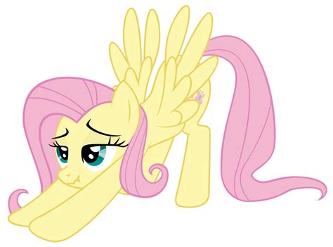 i want to cum inside fluttershy i want to cum inside rainbow dash know your meme