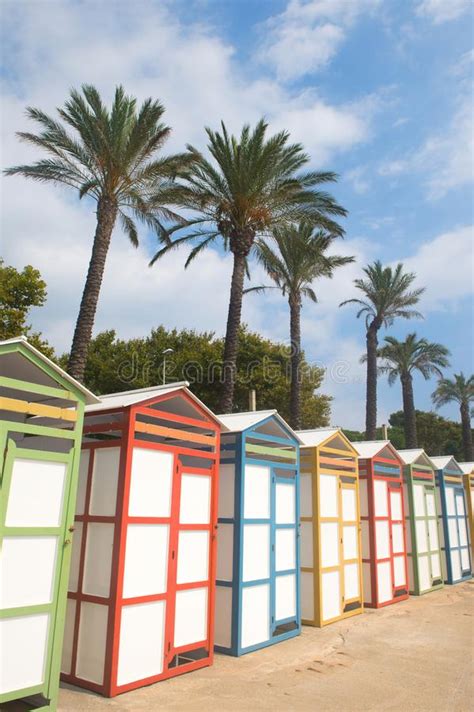 Colorful Beach Huts And Palm Trees Stock Image Image Of Vacation