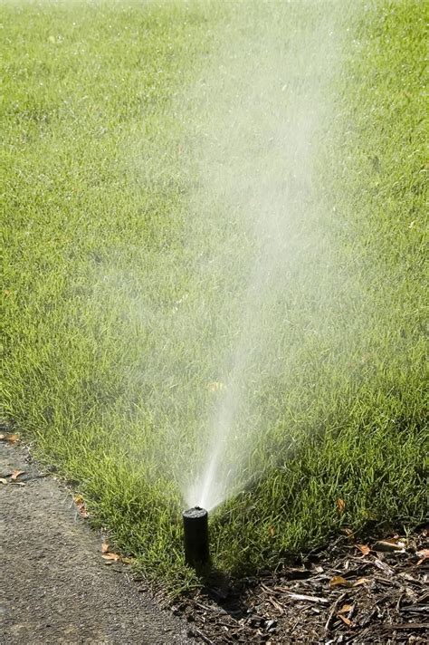 Periodically replenish the yard with new grass. Best Practices for Watering After Aeration and Overseeding in Cincinnati or Northern Kentucky