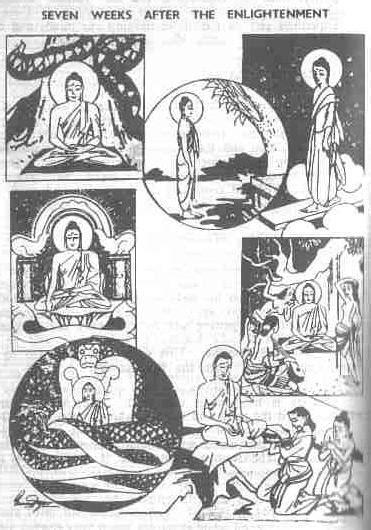 Wisdom Quarterly American Buddhist Journal The Buddhas Return From Space