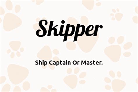 Skipper 🐶 Dog Name Meaning And Popularity