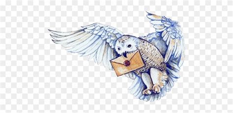 Download Knightbus Harrypotter Hedwig Owl Hogwartsletter Harry