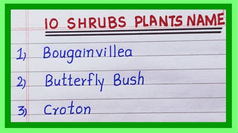 Shrub Plants Name In English 10 Name Of Shrub Plants List Of Shrubs
