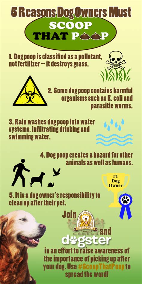 Clean Up Atlanta Dirty Work Dog Waste Removal Service Marks Pooper