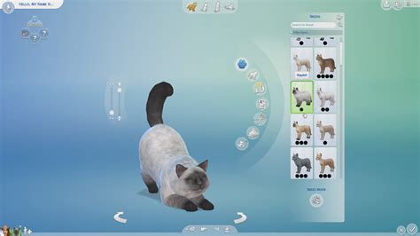 Find out more about what that means for you here. How to Create a Pet in The Sims 4 - Sims Online