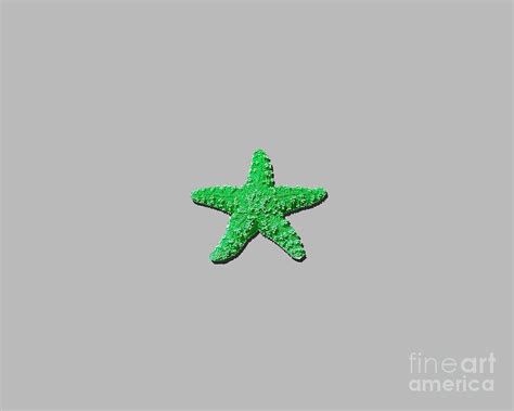 Sea Star Green Png Photograph By Al Powell Photography Usa Pixels