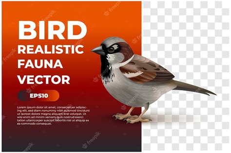 Premium Vector Bird Realistic Fauna Vector