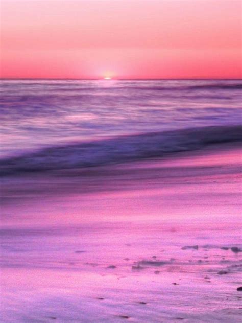 Pink Beach Iphone Wallpapers Top Free Pink Beach Iphone Backgrounds