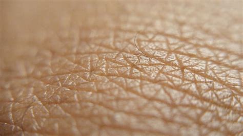 Hd Wallpaper Close Up Photography Human Skin Brown Skin Skin Up Up