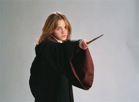 Hermione Harry Potter Photo 2255016 Fanpop
