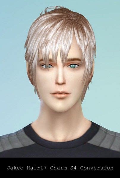 Rg Veda Twinklestar Jakec 17 Hairstyle Converted Sims 4 Hairs Sims