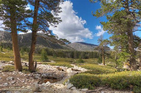 Whats The Shortest Route From South Fork To San Gorgonios Summit