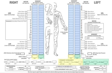 Asia Chart For Spinal Cord Injury