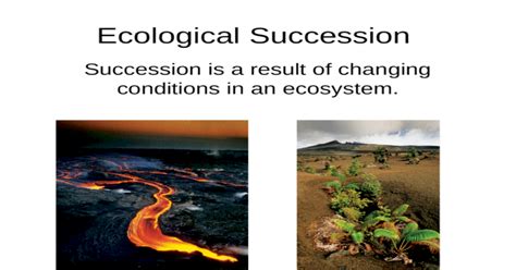 Ecological Succession Succession Is A Result Of Changing Conditions In
