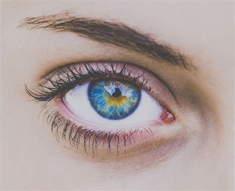 Blue Eye Of Woman Free Stock Photo Public Domain Pictures