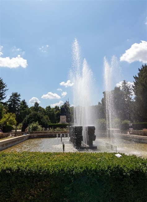 Satu Mare Romania August 20 2021 Summer Photo From The Park In The