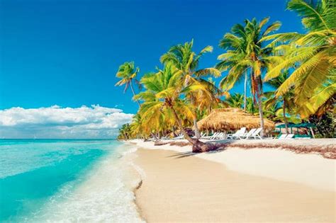 Las Mejores Playas De La República Dominicana Punta Cana Adventures