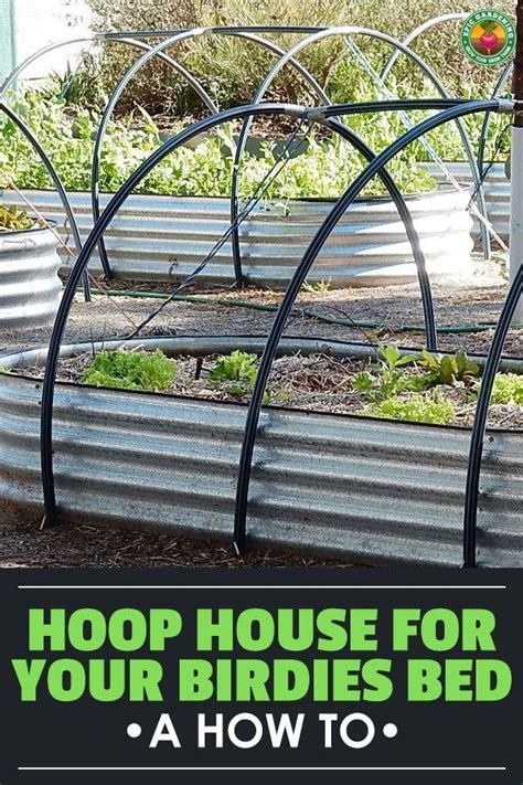 Raised Bed Hoop House Protecting Plants Epic Gardening Metal Raised Garden Beds Metal