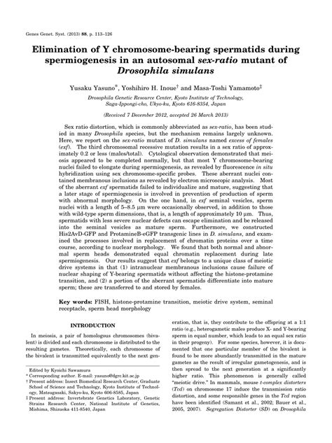 pdf elimination of y chromosome bearing spermatids during spermiogenesis in an autosomal sex