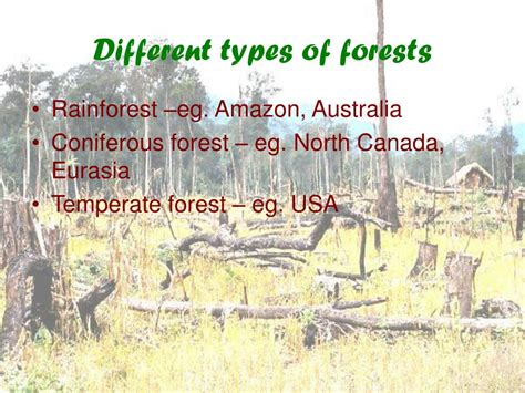 Ppt Forestry Powerpoint Presentation Free Download Id4419624