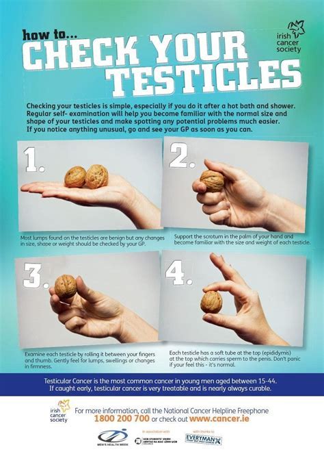 When Will Husky Puppies Testicles Appear