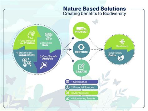 Nature Based Solutions For Resilient Cities And Restoring Local