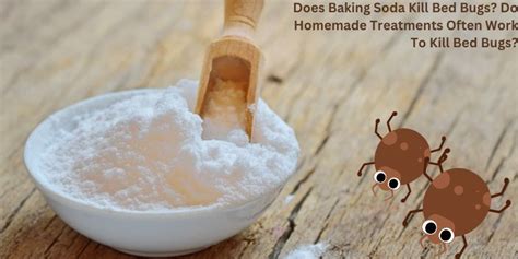 Does Baking Soda Kill Bed Bugs 5 Best Facts You Should Know