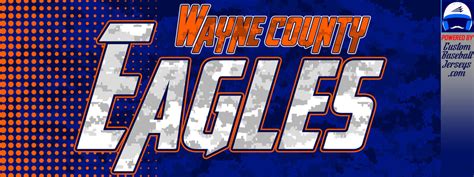 Wayne County War Eagles Custom Camo Baseball Jerseys Custom Baseball