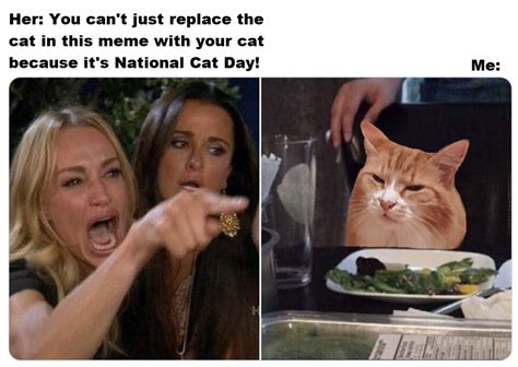 National Cat Day Memes Funny Minions Memes