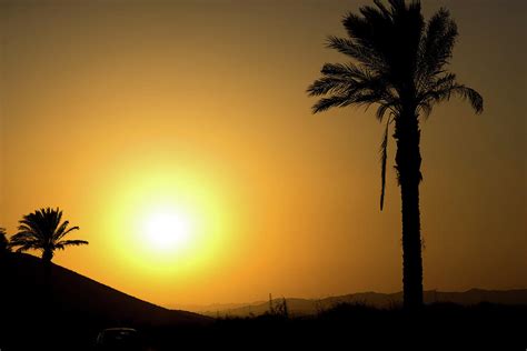 Golden Andalusian Sunset With Silhouette Palm Trees And