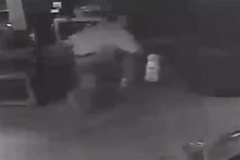 Toilet Paper Bandit Caught On Camera Stealing Loo Roll From Car Garage In Bizarre Break In
