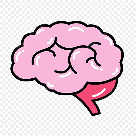 Desenho De Cérebro Png Cérebro Desenho De Cérebro Png Cérebro Pela
