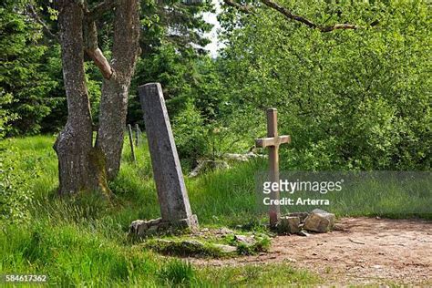 Border Moors And Forests Photos And Premium High Res Pictures Getty Images