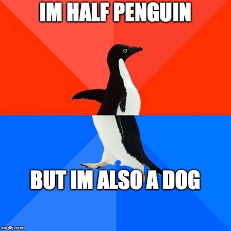 Socially Awesome Awkward Penguin Meme Imgflip