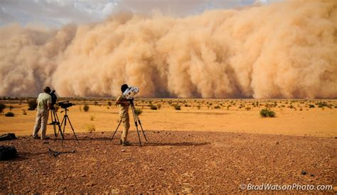 The Central Sahel A Perfect Sandstorm