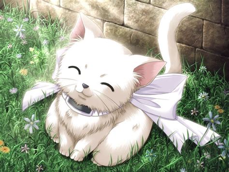 Kitty World Cute Anime Kitten