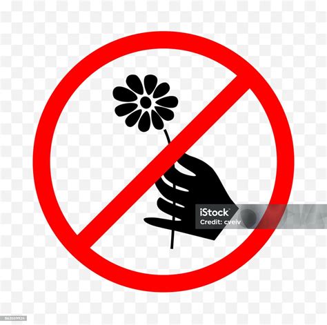 No Picking Flowers Sign Stock Illustration Download Image Now