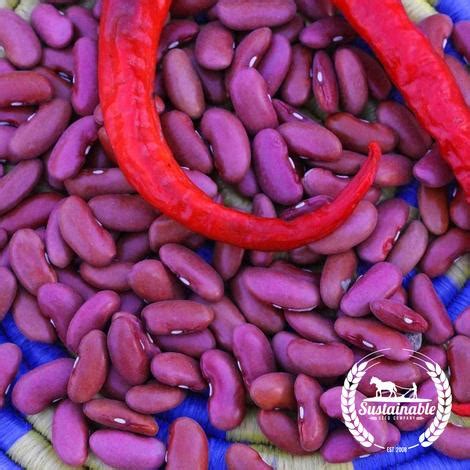 Dark red kidney beans are distinguished by their bright color and slightly thicker skins, while light red light red kidney beans are especially favored in the caribbean, spain and portugal. Organic Light Red Kidney Beans - Heirloom Seeds ...