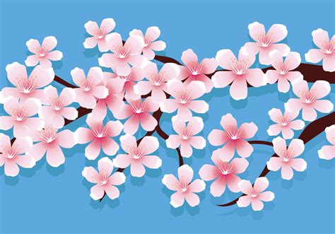 Cherry Blossoms Vector Illustration 268765 Vector Art At Vecteezy