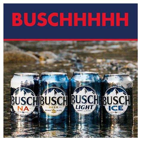 Busch Non Alcoholic Beer 12 Pack Beer 12 Fl Oz Cans Non Alcoholic