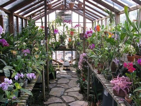 5 Reasons Why You Should Build Your Own Greenhouse Big
