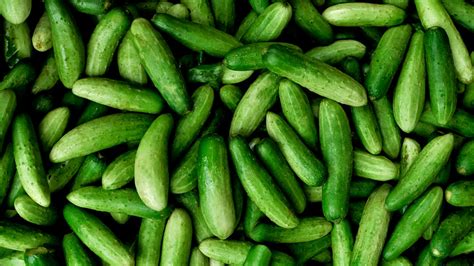 why you should milk your cucumbers