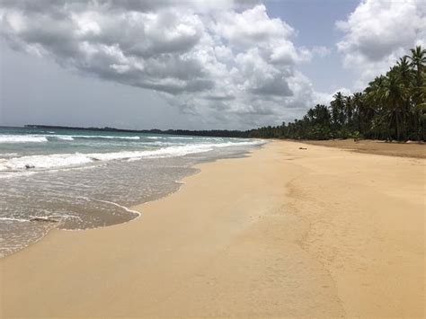 Playa Bonita Las Terrenas Dominican Republic Top Tips Before You Go