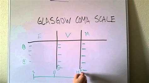 Glasgow Coma Scale Made Easy Youtube