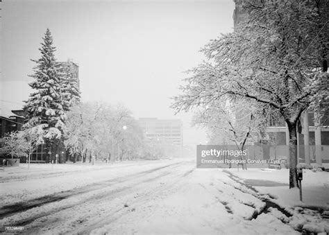 Snow Covered Trees In Winter High Res Stock Photo Getty Images