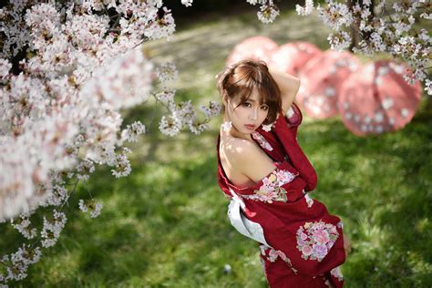 デスクトップ壁紙 アジア人 女性 浴衣 日本の傘 桜の花 2048x1366 zedger 1342253 デスクトップ壁紙 wallhere