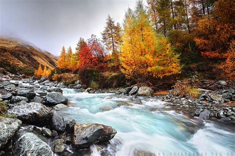 New Zealand In The Fall South Island Autumn Scenery Landscape Scenery