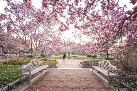 Smithsonian Gardens Washington Dc