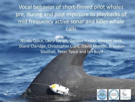 Vocal Behavior Of Short Finned Pilot Whales Pre During And Post