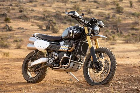 All New Triumph Scrambler 1200xe To Race At Norra Mexican 1000 Rally